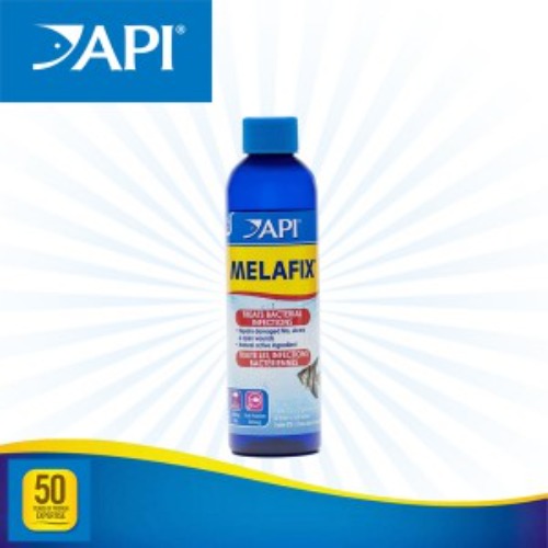 API 멜라픽스  (세균성 치료제)